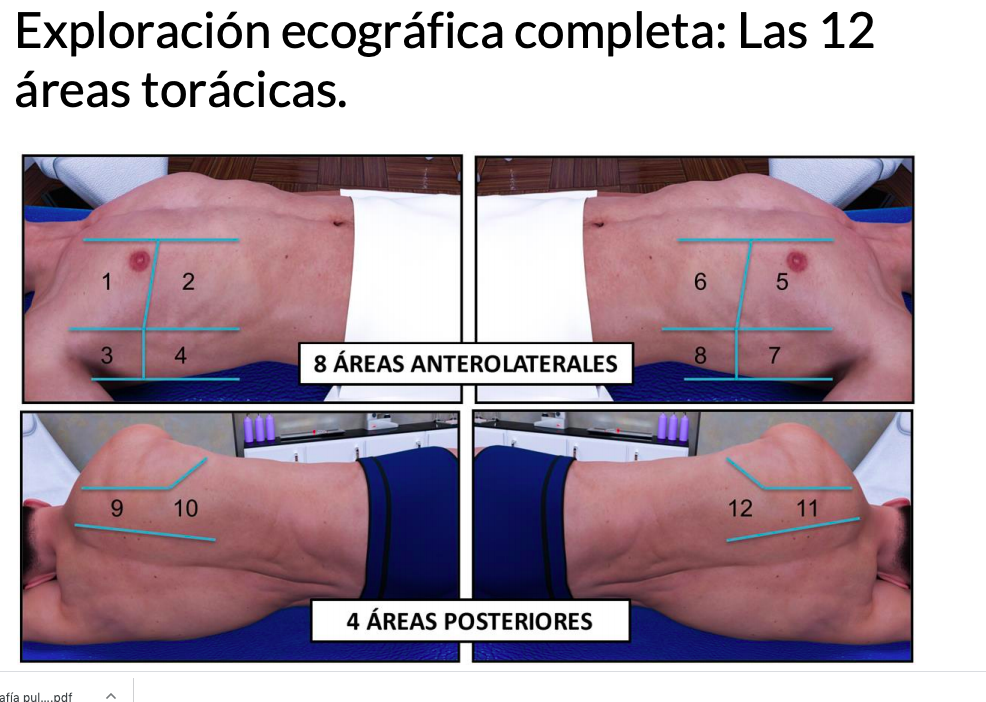 Revisión pulmonar