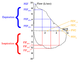 Espirometría